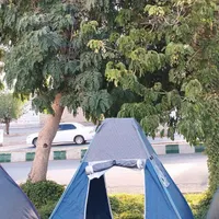 برزنت قوی|اشیا|شوشتر, |دیوار