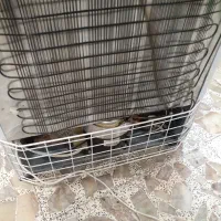 یخچال عرض ۷۵ دو درب|کافی‌شاپ و رستوران|رشت, جانبازان|دیوار