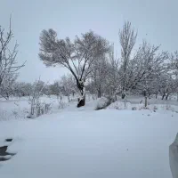 زمین-خیابان-قانع