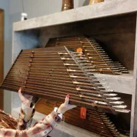 سنتور تک مهر