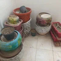 تعدادی گلدان سفالی وپلاستیکی قیمت توافقی|گل و گیاه طبیعی|یزد, |دیوار