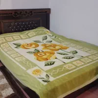 سرویس خواب|تخت و سرویس خواب|نورآباد, |دیوار