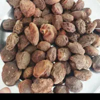 سلامزردالوپیوندیشیرین|خوردنی و آشامیدنی|اسلامشهر, شهرک قائمیه|دیوار