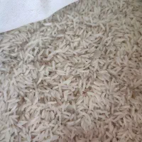 برنج طارم درجه یک