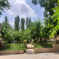 باغچه طرقبه یاسر ناصر