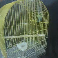 قفس پرنده|لوازم جانبی حیوانات|پرند, فاز ۶|دیوار