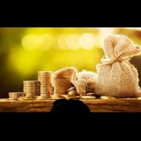 نیازمند ضامن