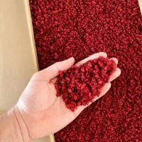 زرشک پفکی و زیرتالاری درجه یک مستقیم از تولید کنند