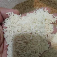 برنج هاشمی محلی صومعه‌سرا گیلان|خوردنی و آشامیدنی|تهران, سبلان (لشگر)|دیوار