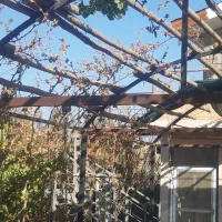 باغ فروشی نوش آباد|فروش دفتر صنعتی، کشاورزی، تجاری|آران و بیدگل, |دیوار