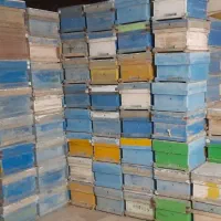 فروش فوری تعدادکندو