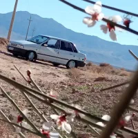 پراید عروسک کره ای به شرط همه چیز