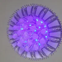 لوستر|لوستر و چراغ آویز|تبریز, |دیوار