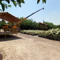 اجاره جرثقیل۷تن.دکل.بلند|خدمات حمل و نقل|رباطکریم, رباطکریم|دیوار