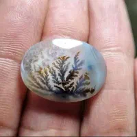 شجر قائن|جواهرات|قم, شهرک امام حسین|دیوار