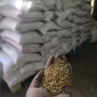گندم بزر دیم بوجاری