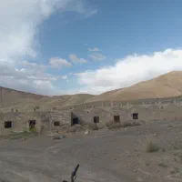 سالن مرغداری گوشتی