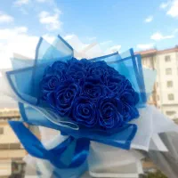 بلکه فرایدی ما شروع شد