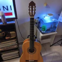 سیگنیچر گیتار