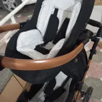 کریر دلیجان مدل بنیتا