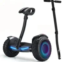 اسکوتر برقی آمریکایی