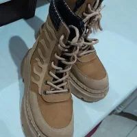 پوتین در حدد نو اسپرت