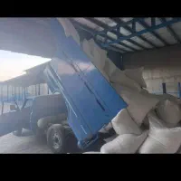 خوراک دام کنسانتره ، سبوس ، جو