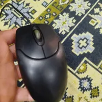 موس باسیم جنیوس