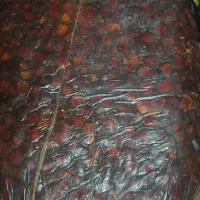 فروش خرمای مرداسنگ درجه یک پر شیره هشتبندی|خوردنی و آشامیدنی|میناب, |دیوار