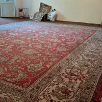فرش دستباف ۵۰ ساله|فرش|کرمانشاه, |دیوار