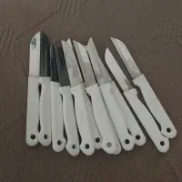 چاقو میوه خوری سالم سالم