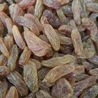 کشمش افتابی  طاهریان عبادی ۹۳   کنار|خوردنی و آشامیدنی|مشهد, عبادی|دیوار