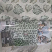 فروش کاغذدیواری خارجی صد در صد قابل شستشو|مصالح و تجهیزات ساختمان|خوی, |دیوار