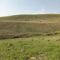 سرکارگرم***