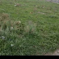 فروش چندقواره زمین تجاری  شهرک بهارستان