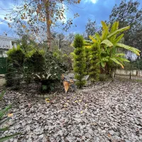 ویلا باغ 300متری زیر قیمت کار شناسی(فقط پول زمین)|فروش خانه و ویلا|چمستان, |دیوار