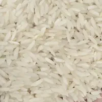 برنج هاشمی اصل آستانه اشرفیه درجه یک تضمینی‌‌ ‌