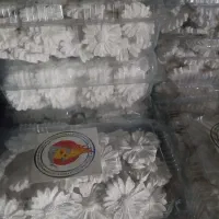 بلوک کلسیوم سنگ کلسیوم پرندگان|لوازم جانبی حیوانات|مشهد, شهید آوینی|دیوار