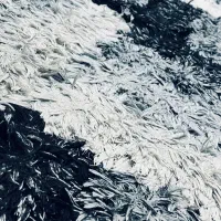 فرش فانتزی ۴ متری|فرش|اندیشه, اندیشه فاز ۱|دیوار