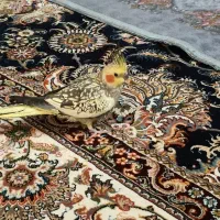 عروس هلندی دستی