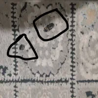 فرش آشپزخانه|فرش|مشهد, شهید معقول|دیوار