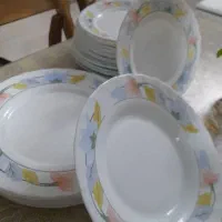 پلو خوری خورشت خوری پیش دستی بلور و آرکوپال|ظروف سرو و پذیرایی|هشتگرد, فاز ۲ مهستان|دیوار