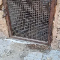 دو عدد درب قال کفتر|لوازم جانبی حیوانات|سبزوار, باهنر|دیوار