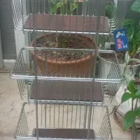 استند سیب زمینی پیاز