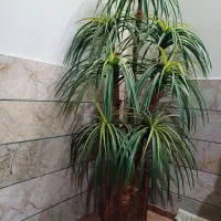 درختچه مصنوعی|گل مصنوعی|بجنورد, |دیوار