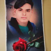 تابلو فرش شقایق|تابلو فرش|ایرانشهر, |دیوار