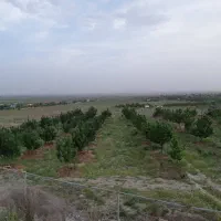 فروش-باغ-کشاورزی-به-متراژ-800-متر