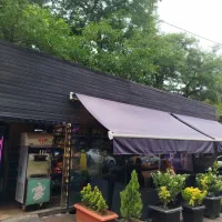 سایبان و گلدان
