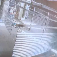 نیروی مسلط به خط رنگ کانوایر