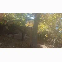 خانه باغ فروشی|فروش خانه و ویلا|بافت, |دیوار